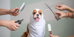 The Ultimate Guide to Dog Grooming Supplies